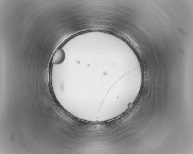 X0000115240891200911271841