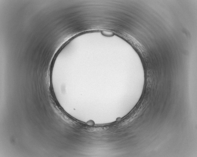 X0000115240892200911271841