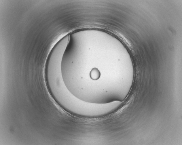 X0000115240893200911271841