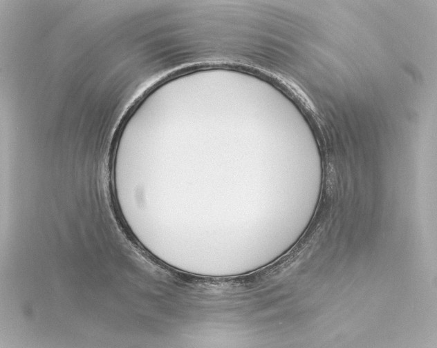 X0000115240895200911271841