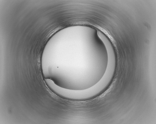 X0000115240897200911271841