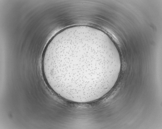 X0000115240899200911271841