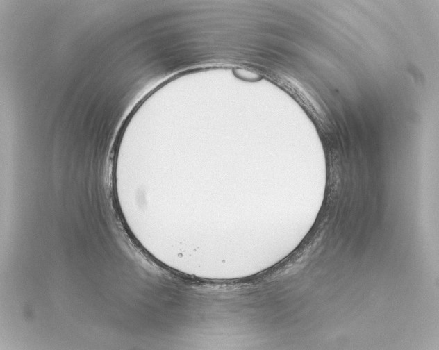 X0000115240900200911271841