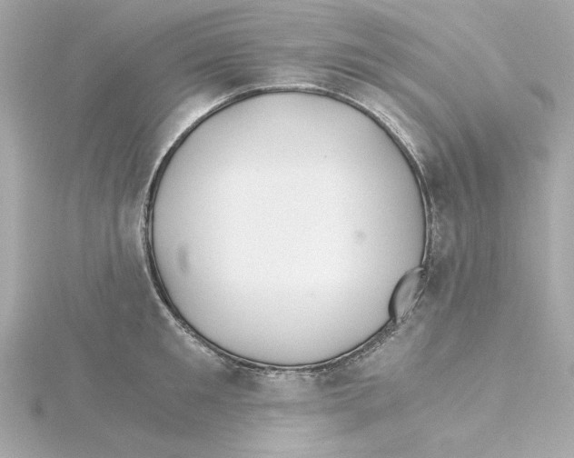 X0000115240901200911271841