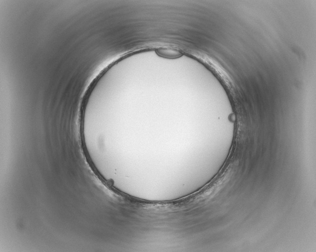 X0000115240902200911271841