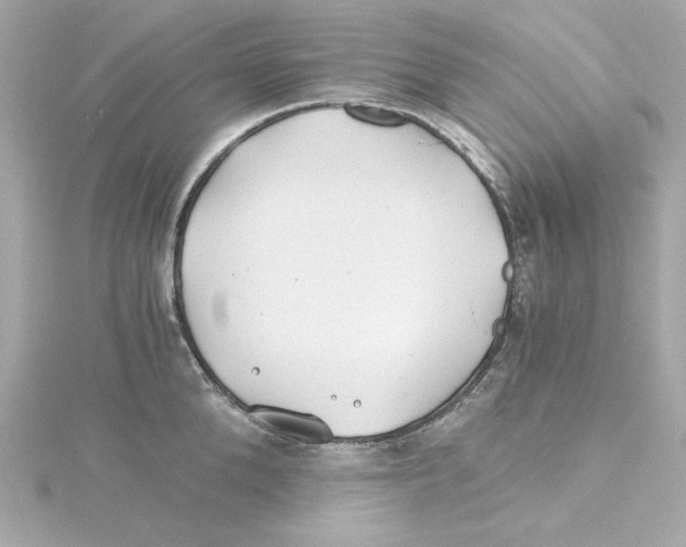 X0000115240904200911271840