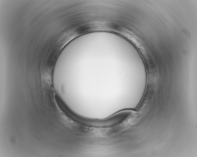 X0000115240905200911271840