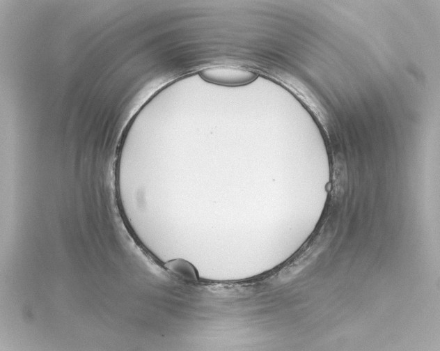 X0000115240906200911271840