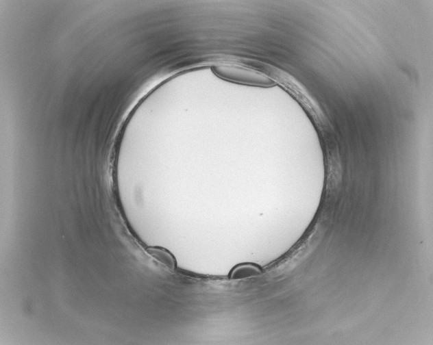 X0000115240908200911271840