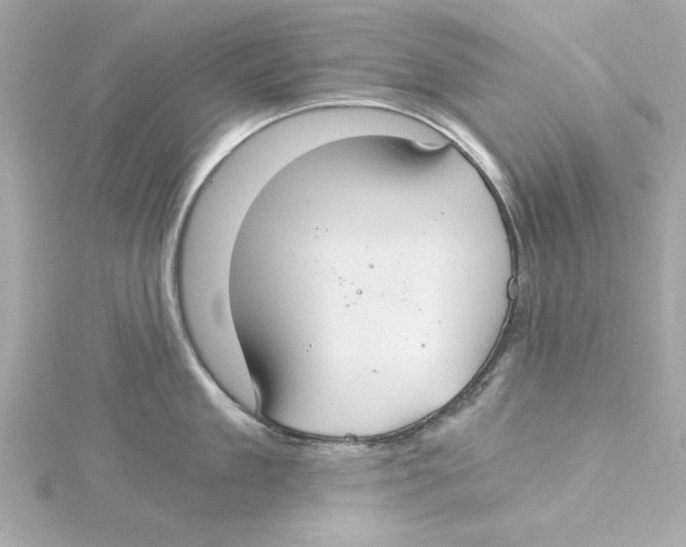 X0000115240909200911271840