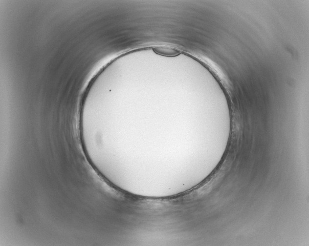 X0000115240910200911271840