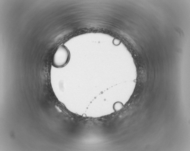 X0000115240918200911271840