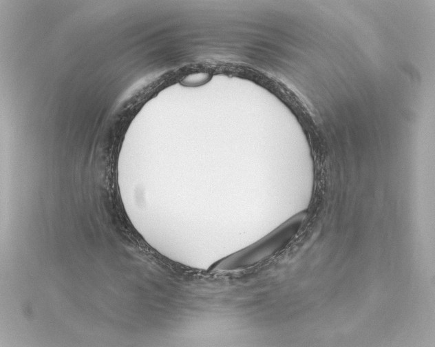 X0000115240919200911271840