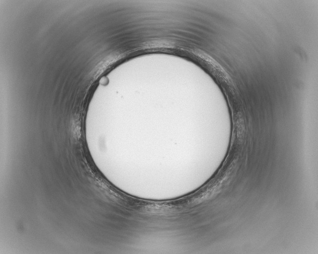 X0000115240929200911271840