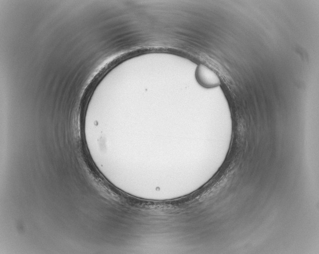 X0000115240934200911271840