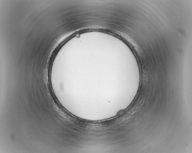 X0000115240935200911271840