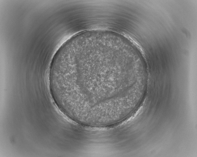 X0000115240941200911271840