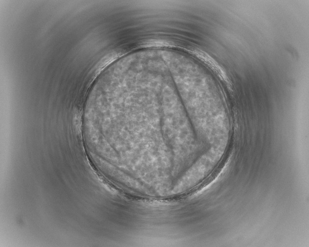 X0000115240945200911271840