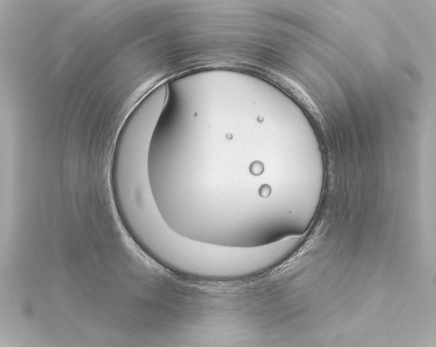 X0000115240946200911271840