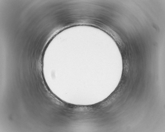 X0000115240950200911271840