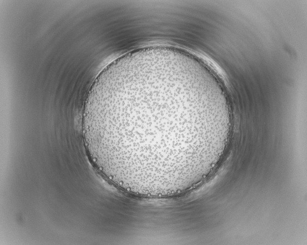 X0000115240953200911271840