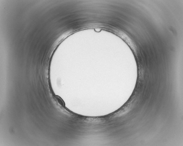 X0000115240954200911271840