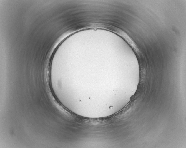 X0000115240955200911271840