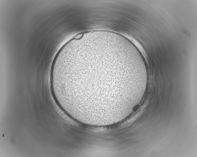 X0000115240957200911271840