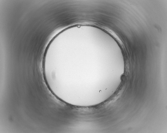 X0000115240959200911271840