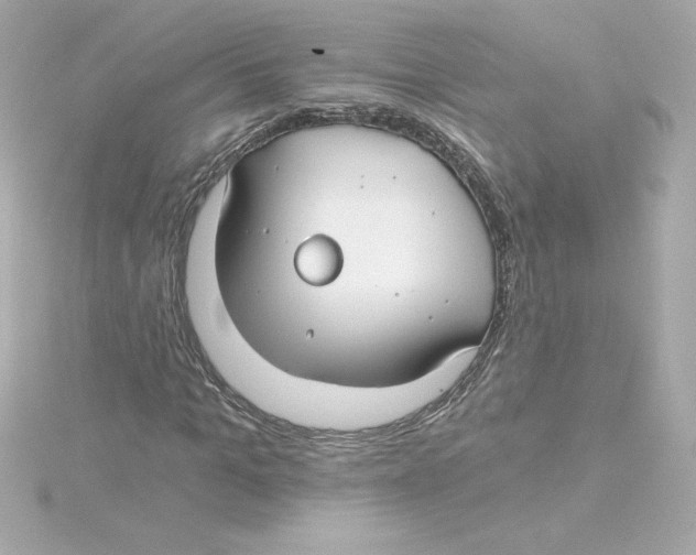 X0000115240965200911271840