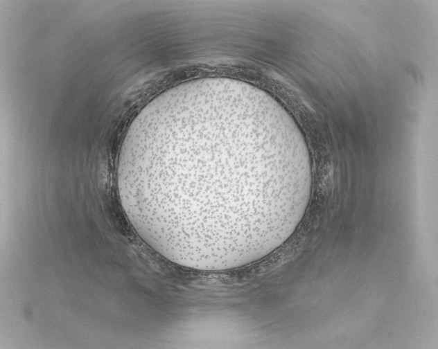 X0000115240966200911271840