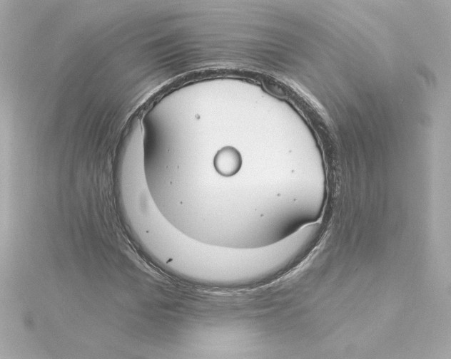 X0000115240969200911271839