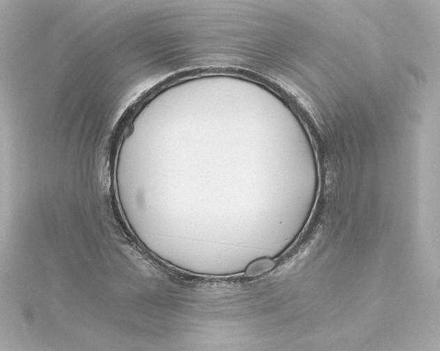 X0000115240973200911271839