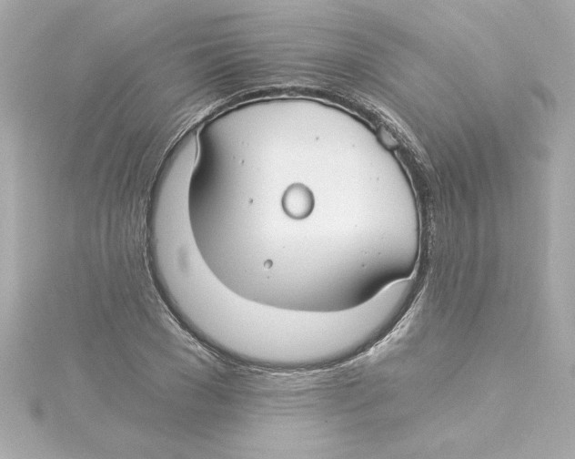 X0000115240977200911271839