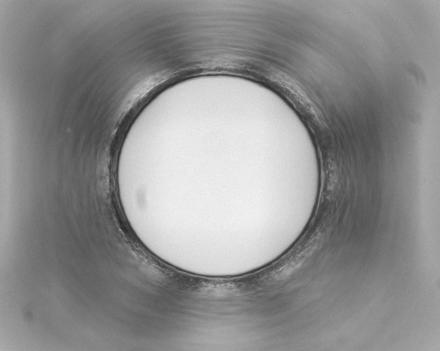 X0000115240978200911271839