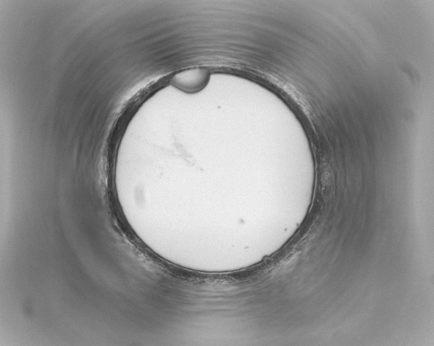 X0000115240979200911271839