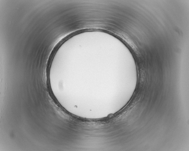 X0000115240980200911271839