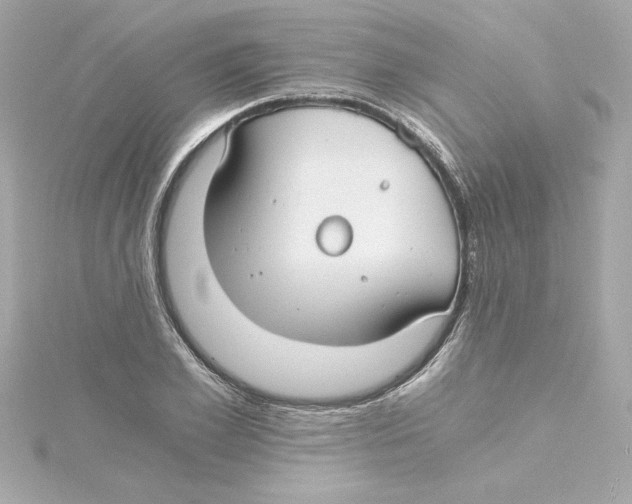 X0000115240981200911271839