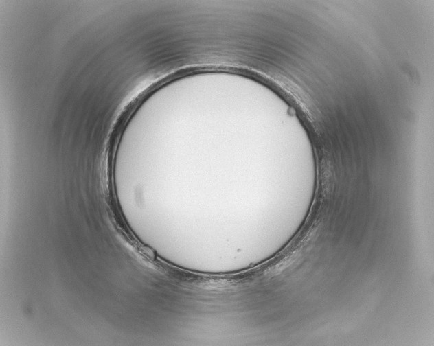 X0000115240982200911271839