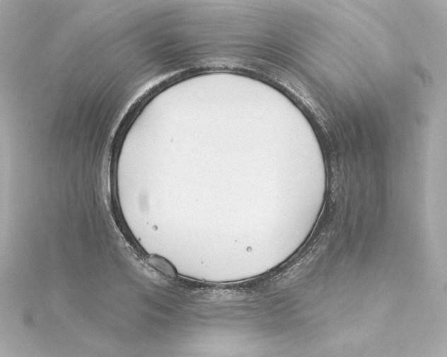 X0000115240984200911271839