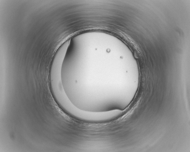 X0000115240985200911271839