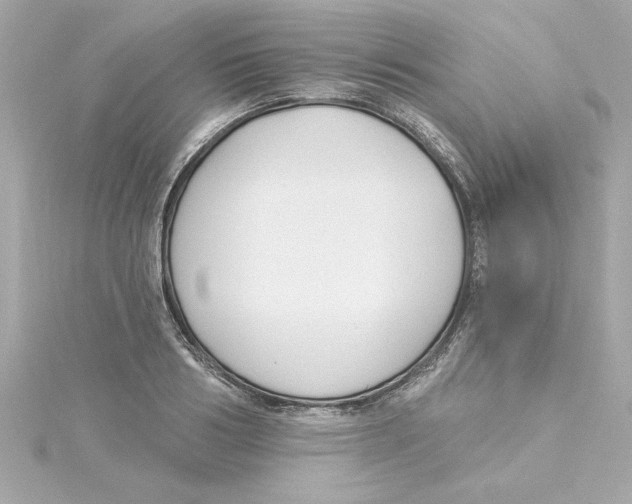 X0000115240986200911271839