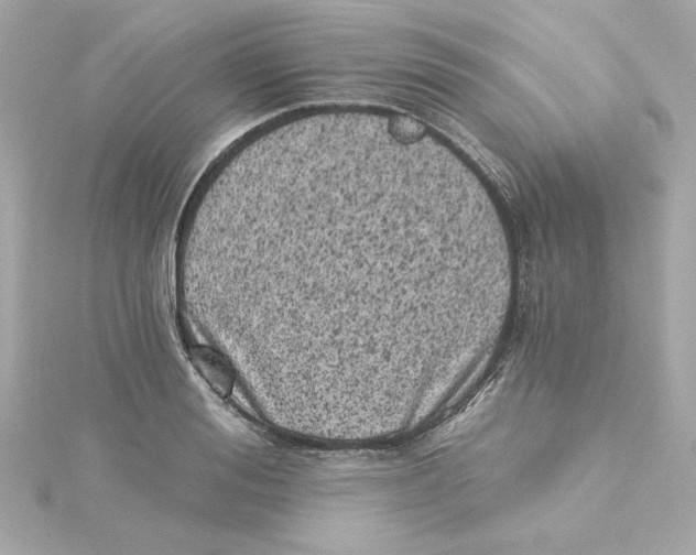 X0000115240988200911271839