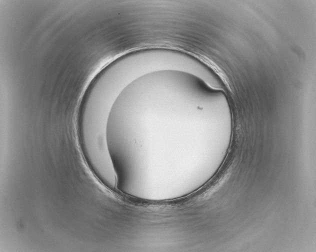 X0000115240989200911271839