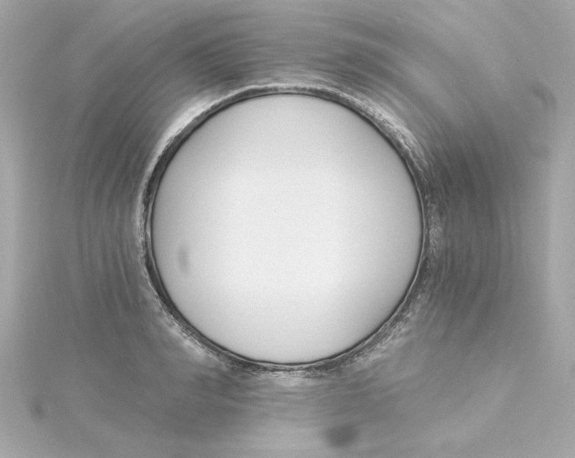 X0000115240990200911271839