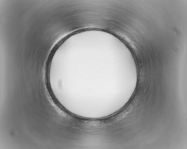 X0000115240991200911271839