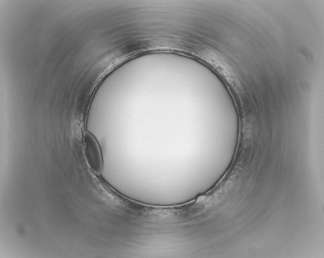 X0000115240993200911271839