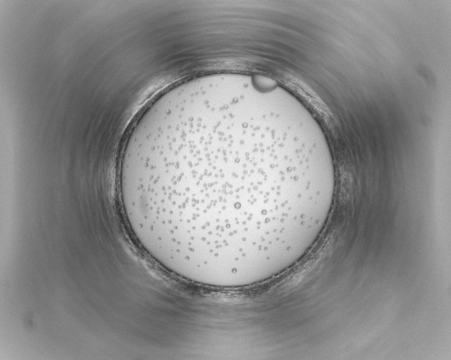 X0000115240994200911271839