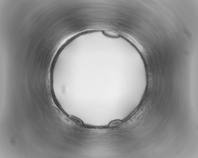 X0000115240996200911271839