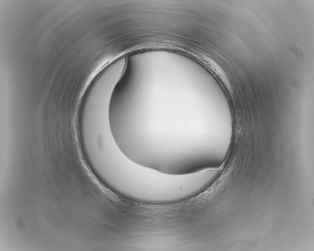 X0000115240997200911271839